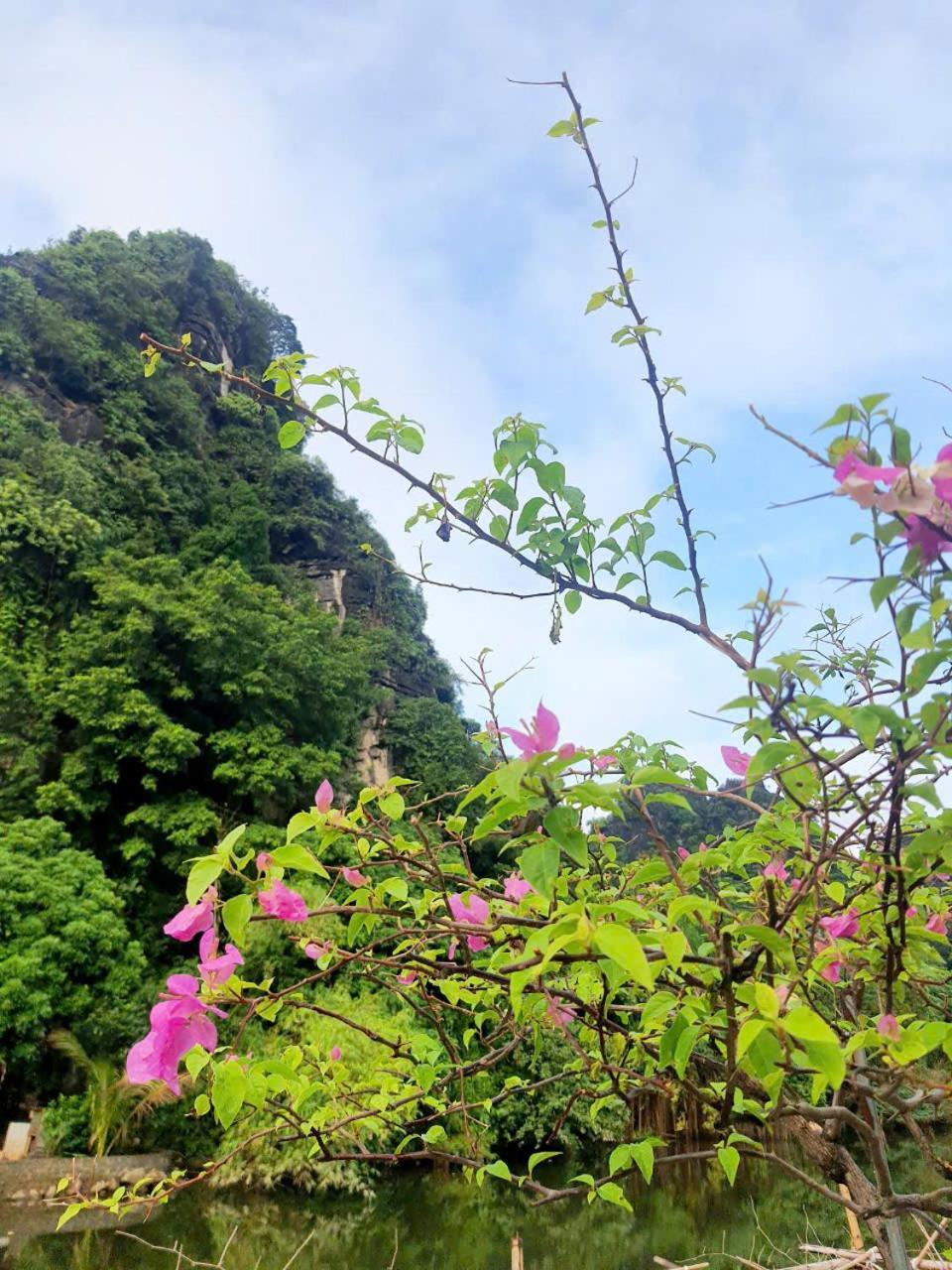 Trang An Hana Homestay Nguyen Ngoai Екстер'єр фото