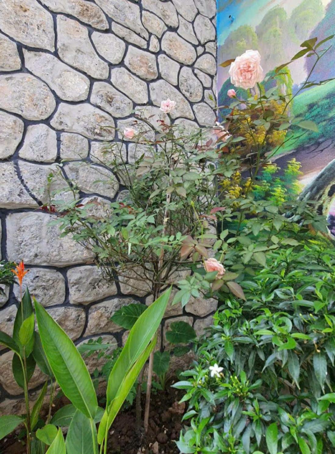 Trang An Hana Homestay Nguyen Ngoai Екстер'єр фото