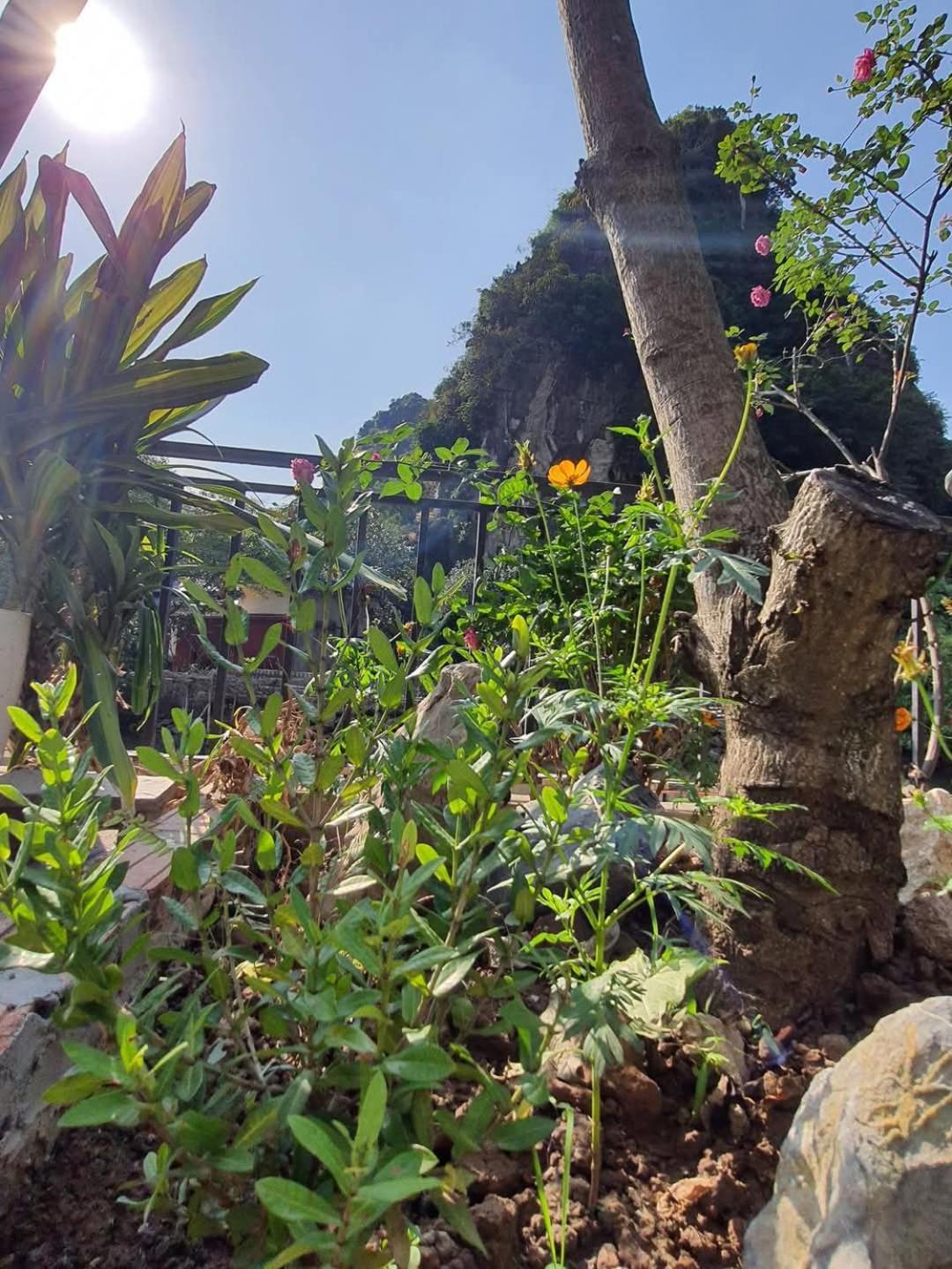 Trang An Hana Homestay Nguyen Ngoai Екстер'єр фото
